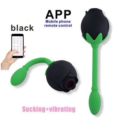 Dispositivo de sugação Clitoral da estimulação do ponto de IPX6 Rose Clitoral Sucker Vibrator Sex Toy Vagina G