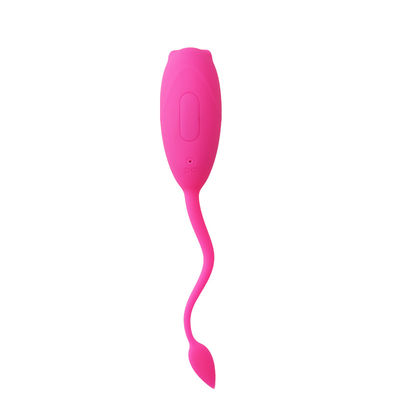 O sexo de 10 mulheres da vibração da velocidade brinca o ovo de salto de controle remoto IPX7